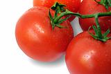 Tomato and drops of water (with Clipping Path)