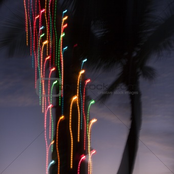 Abstract motion colored lights.