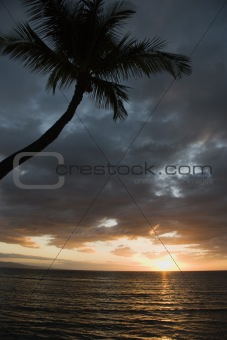 Sunset in Maui.