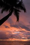 Maui sunset.