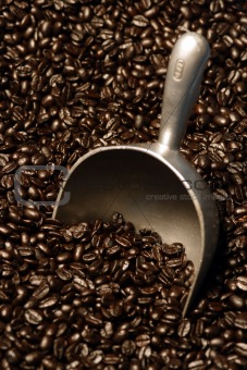 Coffee beans and scoop
