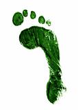 Green impprint of a right foot