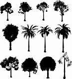 silhouette trees