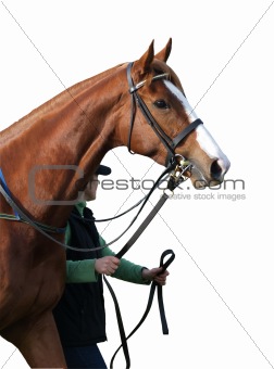 Racehorse & Handler