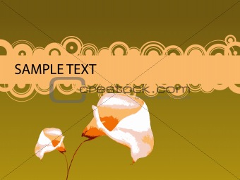2 Lilies with Copy Space