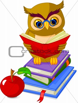 Wise Owl sitting on Pile book