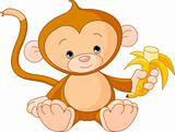 Baby Monkey eating banana