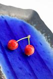 Pair of cherries on a plate
