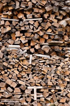 heap of firewoods  as background . 