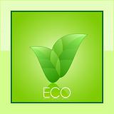 Vector eco card