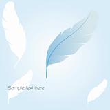 Blue vector feather