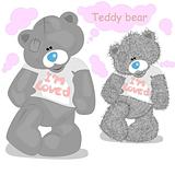 Vector teddy bear