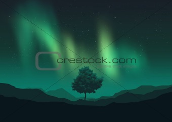 Aurora Borealis Over A Tree
