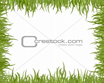 Wild grass frame