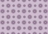 purple daisy flower pattern