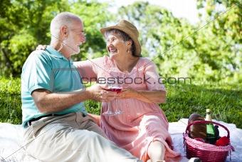 Romantic Seniors on a Picnic
