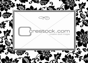 Vector White Floral Pattern and Frame