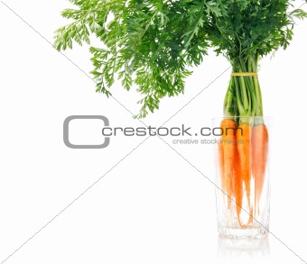 fresh carrot fruits with green leaves