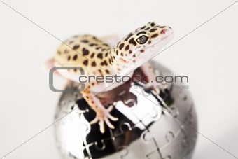 Globe in gecko