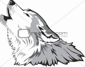 Wolf head vector