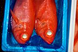 two red fish at tokyo fish market