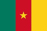 The national flag of Cameroon