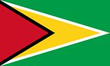 The national flag of Guyana