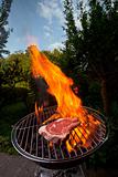 t bone steak on a grill outdoors