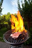 t bone steak on a grill outdoors