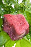 raw fillet steak on mixed herbs