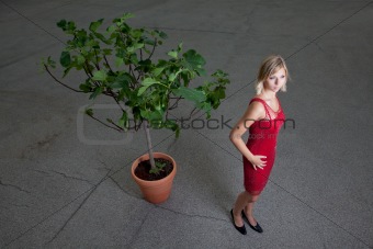 young woman in a red dress and a fig tree