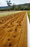 race track with horse's footprint