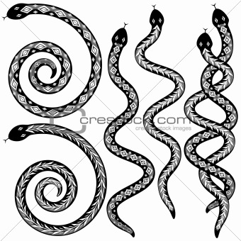Snake designs