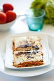 tasty plate of vegetal lasagna