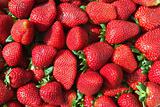 red strawberries pattern in maket box
