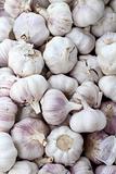 garlic pattern background in market