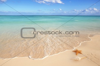 sea shells starfish tropical sand turquoise caribbean
