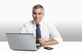 businessman senior gray hair working laptop