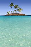 Paradise palm tree island tropical turquoise beach