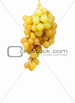 Bunch of fresh grapes