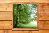 Wooden window jungle green forest view