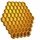 Honeycomb Hive