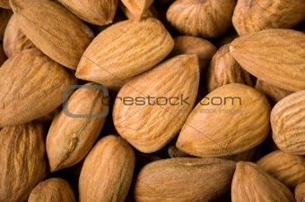  Almonds background.
