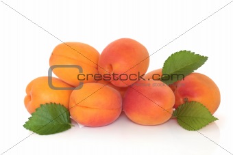 Apricot Fruit