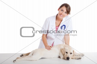 Veterinarian taking care of a dog