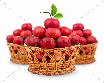 
Basket of apples