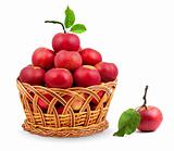 Basket of apples