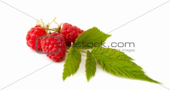 Raspberries with leaves on the white background