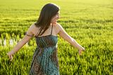 Beautiful brunette indian woman in green rice fields