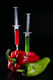 Injection with syringe to red and green peppers